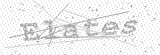 Security Picture (click to change)