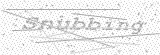 Security Picture (click to change)