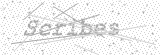 Security Picture (click to change)