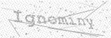 Security Picture (click to change)