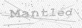 Security Picture (click to change)