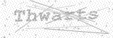 Security Picture (click to change)