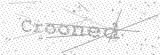 Security Picture (click to change)