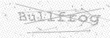 Security Picture (click to change)