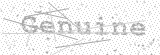 Security Picture (click to change)