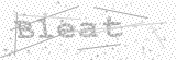 Security Picture (click to change)