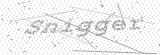 Security Picture (click to change)