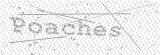 Security Picture (click to change)