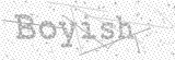 Security Picture (click to change)