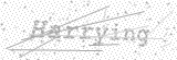 Security Picture (click to change)