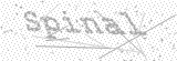Security Picture (click to change)