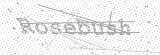 Security Picture (click to change)