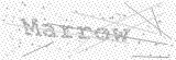 Security Picture (click to change)