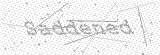 Security Picture (click to change)