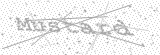 Security Picture (click to change)