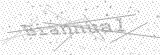Security Picture (click to change)