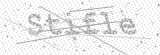 Security Picture (click to change)