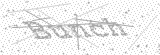 Security Picture (click to change)