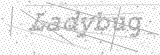 Security Picture (click to change)