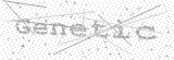 Security Picture (click to change)