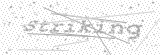 Security Picture (click to change)