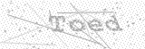 Security Picture (click to change)