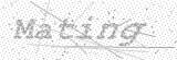 Security Picture (click to change)