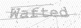 Security Picture (click to change)