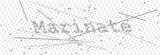 Security Picture (click to change)