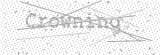 Security Picture (click to change)