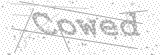 Security Picture (click to change)