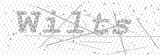 Security Picture (click to change)