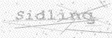 Security Picture (click to change)