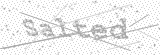 Security Picture (click to change)