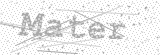 Security Picture (click to change)