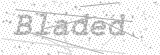 Security Picture (click to change)