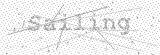 Security Picture (click to change)