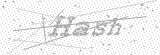Security Picture (click to change)