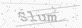 Security Picture (click to change)