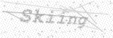 Security Picture (click to change)