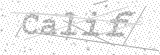 Security Picture (click to change)