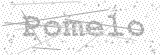 Security Picture (click to change)