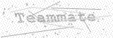 Security Picture (click to change)