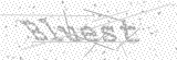 Security Picture (click to change)