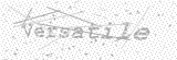 Security Picture (click to change)