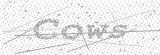 Security Picture (click to change)