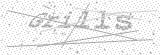 Security Picture (click to change)