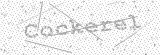 Security Picture (click to change)