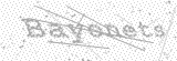 Security Picture (click to change)