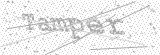 Security Picture (click to change)